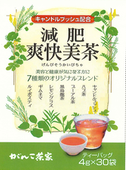 減肥爽快美茶TB Ｌ型